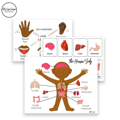 Introduce your child to the wonders of the human body with our Human Body Printable Learning Worksheets package! Designed to engage young learners, this collection offers a fascinating exploration of key body systems and functions. Dive into interactive activities covering the brain, heart, five senses, and much more.